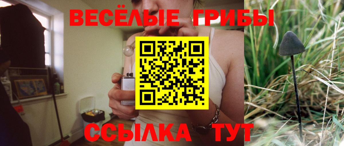Галлюциногенные грибы Magic Shrooms Чебоксары
