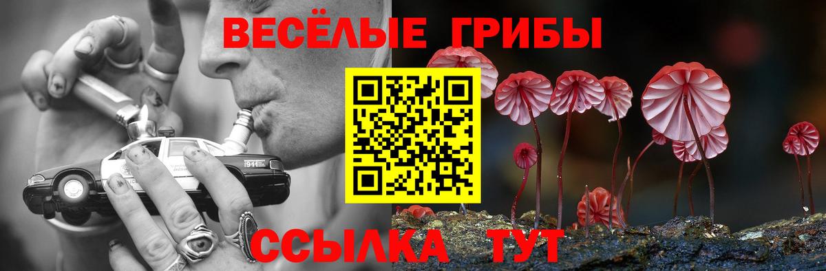 Чебоксары  Псилоцибиновые грибы GOLDEN TEACHER  Галлюциногенные грибы MAGIC MUSHROOMS  Вход с VPN 